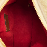 Louis Vuitton FW19 Rare Monogram Teddy Beach Pouch