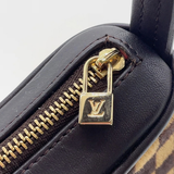 Louis Vuitton Rare Damier Sauvage Tiger Porcelain Bag